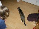 IMGP0953.JPG