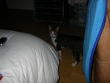 IMGP0954.JPG