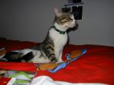 IMGP0955.JPG