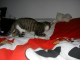 IMGP0956.JPG