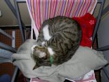 IMGP0965.JPG