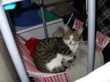 IMGP0967.JPG