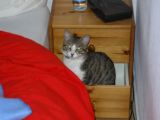IMGP0968.JPG