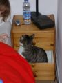 IMGP0969.JPG