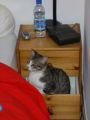 IMGP0970.JPG