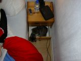 IMGP0971.JPG