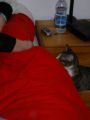 IMGP0973.JPG