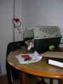 IMGP0996.JPG