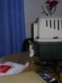 IMGP0998.JPG