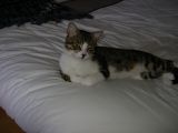 IMGP0999.JPG
