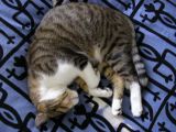 IMGP1061.JPG