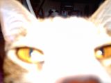 IMG_0023.JPG