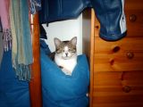 IMG_0032.JPG