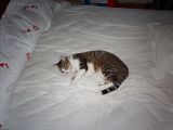 IMG_0034.JPG