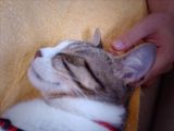 IMG_0080.JPG