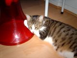 IMG_0125.JPG