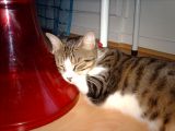 IMG_0127.JPG