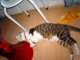 IMG_0128.JPG