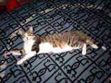 IMG_0129.JPG