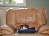 IMG_0176.JPG