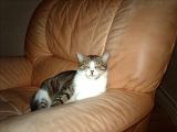 IMG_0238.JPG