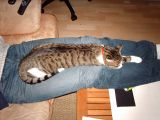 IMG_0255.JPG