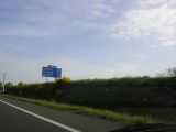 IMGP0011.JPG
