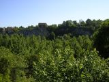 IMGP1241.JPG