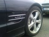 DSC00068.JPG